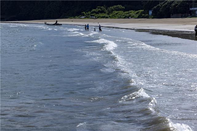 涠洲岛游玩攻略，广西涠洲岛游玩攻略（推荐，广西涠洲岛最强攻略来袭）