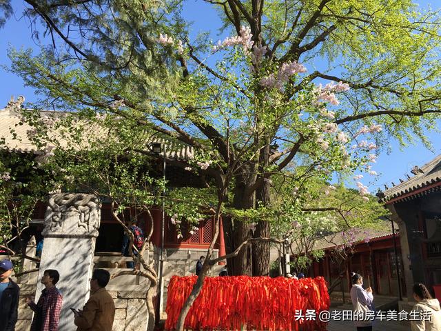 红螺寺求什么最灵验，红螺寺灵验（红螺寺在哪里求什么最灵验）
