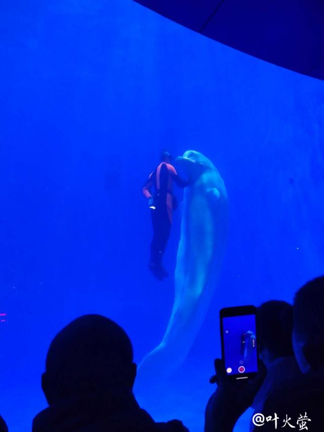 解密十大旅游景点，盘点三大旅游景点