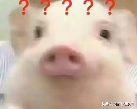 回忆我们儿时那些经典的影视，唐人影视的经典电视剧电影盘点