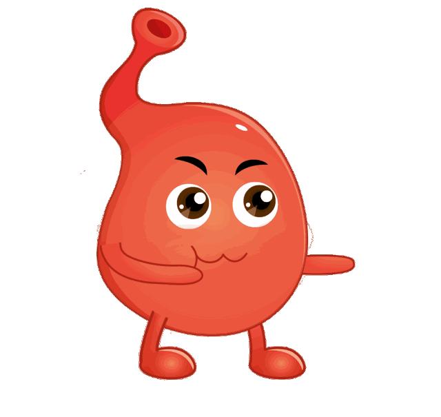 玉米是碳水为什么能减肥，玉米作为高碳水的食物