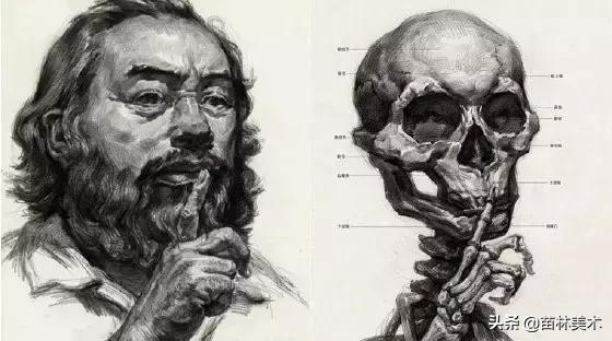 学画画零基础先学什么，零基础素描应该先练什么（零基础绘画教程，值得收藏）