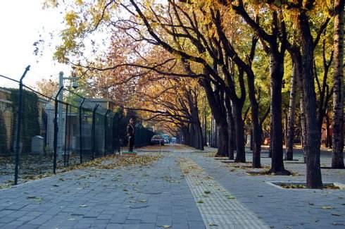 北京步行街必去景点，来北京旅游必逛的十条经典文艺路