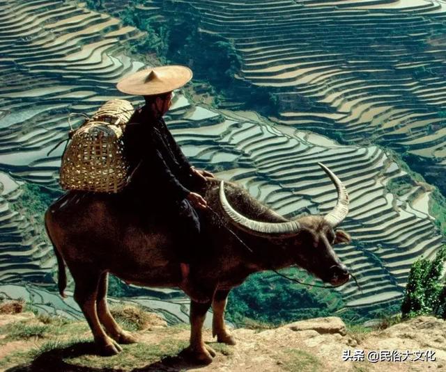 农村谚语五更鸡有什么说法，俗语一更人二更火