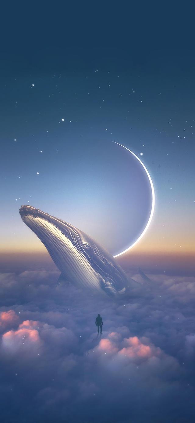 值得珍藏的47张壁纸，宝藏壁纸，值得收藏，无水印