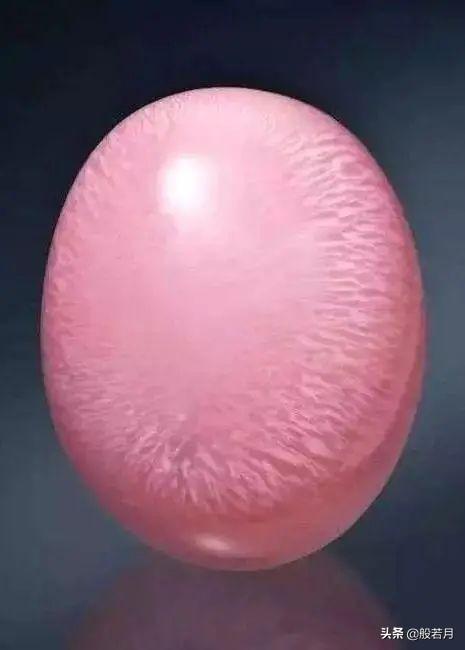 砗磲和白蝶贝，你只知道贝王砗磲