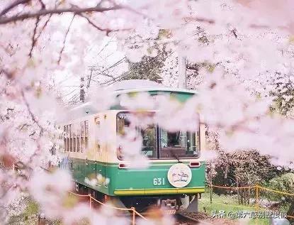 日本适合穿和服的景点，京都清水寺樱花古寺和服御守