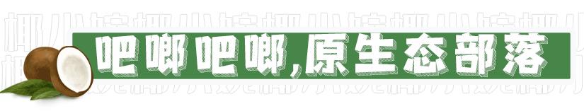 椰子鸡用什么鸡，四个椰子一只文昌鸡（文昌椰子鸡用什么椰子）