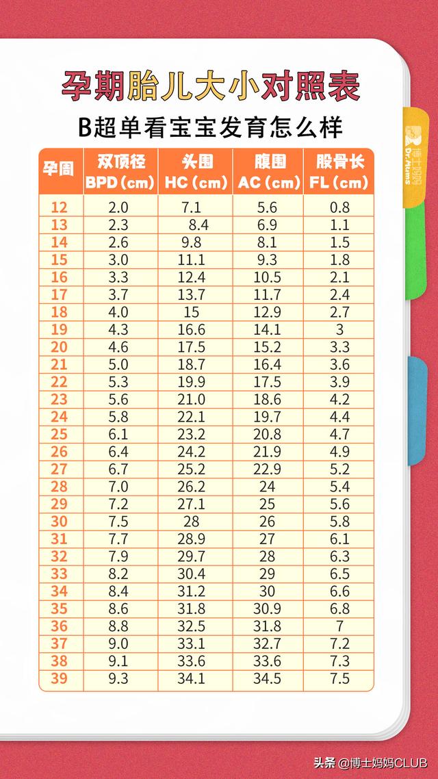 各个孕周胎儿体重标准，12-40周胎儿发育对照表