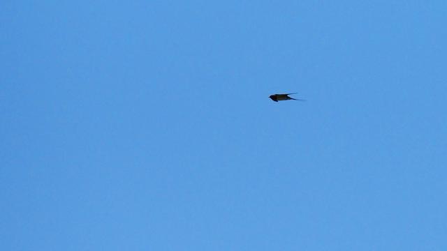 奥林巴斯em1，奥林巴斯em1mark3测评