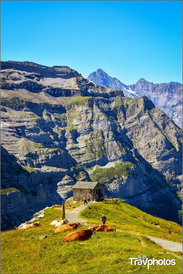 徒步博格达峰，孤寂的行者——记天山博格达峰自然保护区大东沟徒步