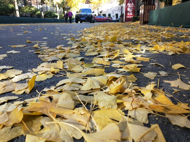 oppok1有什么特点，OPPOK1真机评测亮点全揭秘