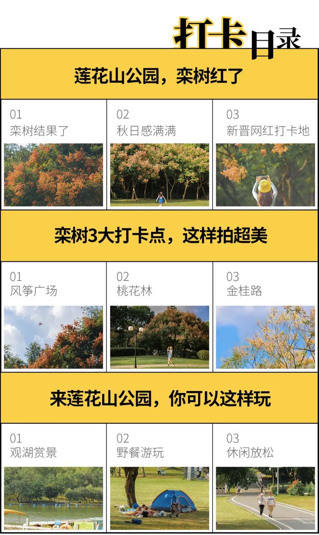 莲花山公园 网红打卡地，莲花山公园又红了