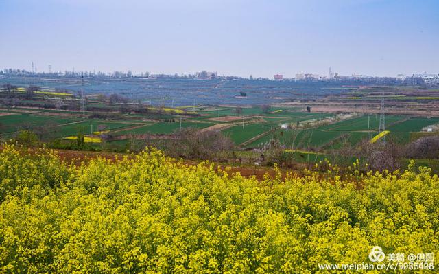 李庄黄河大堤风景区，黄河边青山绿水