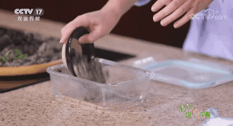 木耳食用的注意事项，黑木耳泡发不当或有生命危险