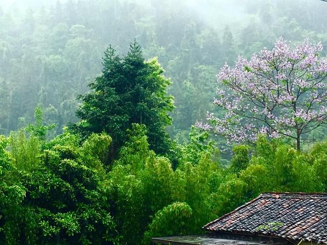 冬季江西旅游必去十大景点，江西8个著名名山山清水秀