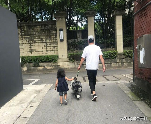 马伊琍文章离婚后首次同框，文章马伊琍今日宣布离婚原因疑曝光