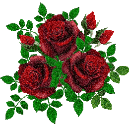 情人节送玫瑰花的含义5201314， 送你999玫瑰花，祝你爱情甜甜蜜蜜
