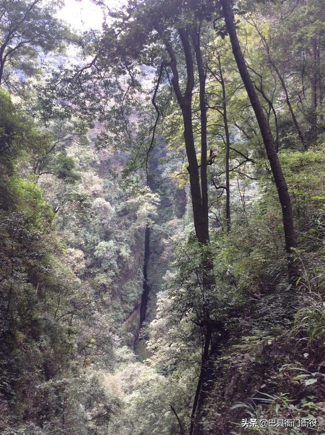 青城山一天旅游攻略图文并茂，青城山\u0026都江堰一日游超全攻略