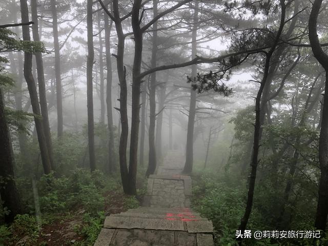 徒步南迦巴瓦峰最佳观景台，雾中徒步薄刀峰