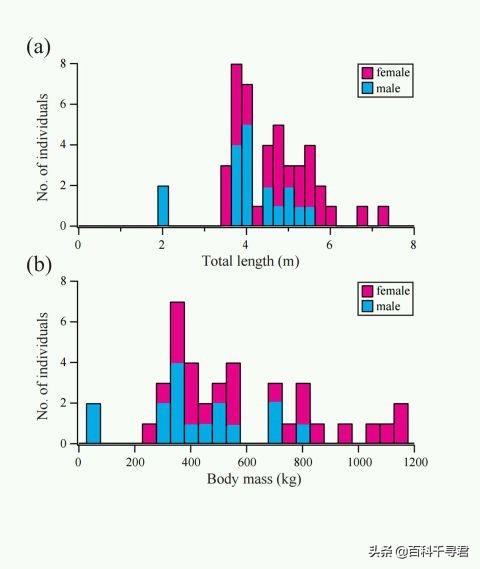 世上最大的淡水鲨，有史以来最大的十种鲨鱼