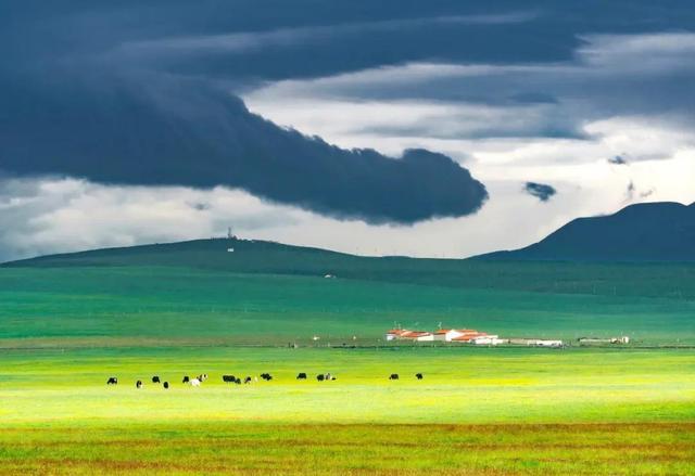 青海湖几月份看油菜花，青海湖旅游的最佳季节来了