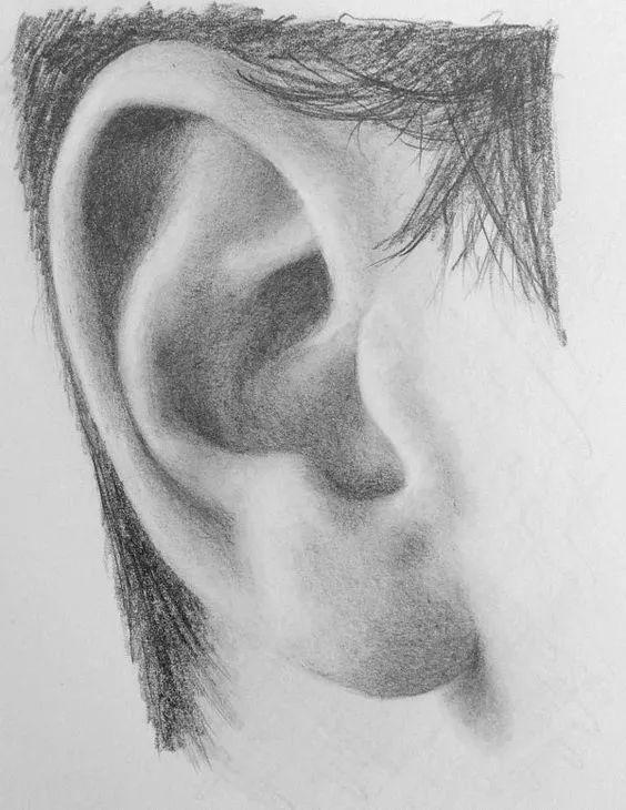 素描画五官详解，素描五官深度剖析