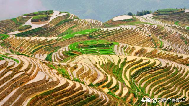 桂林必去的景点，游桂林必赏的景点（我的三次旅游经验分享）