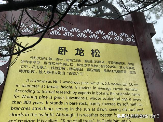 徒步南迦巴瓦峰最佳观景台，雾中徒步薄刀峰