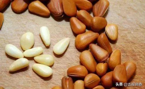 带皮的松子怎么吃，松子作为人们消闲的小食品