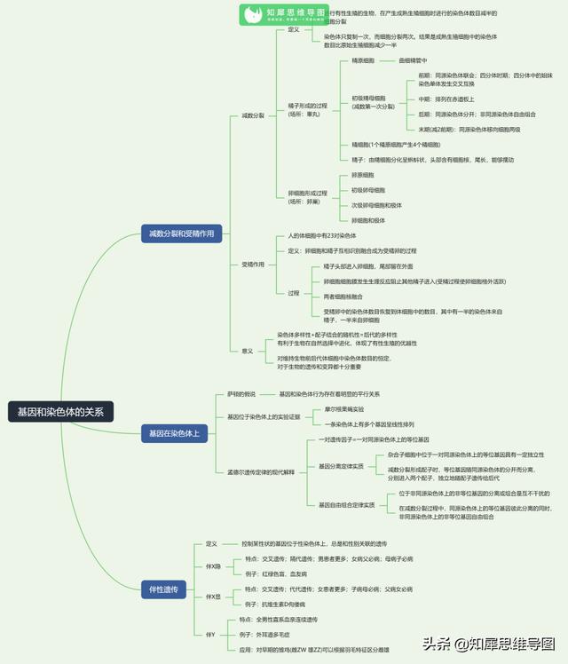 高中生物思维导图，高中生物思维导图简单11张（看透高中生物这20张思维导图）