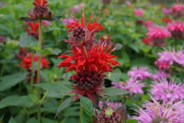 北京必玩景点排名，北京必玩的十个景点排名榜单（北京最值得去的12个景区）