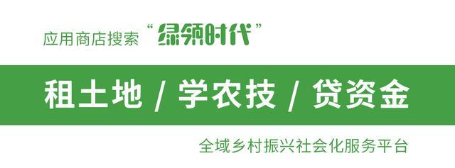 低保户的标准是什么，农村低保户的标准是多少（五个符合一个就可以申请）