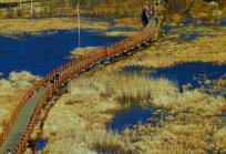 云南旅游攻略6天5晚多少钱，云南旅游攻略六天五晚1280元（淡季游云南1500元人）