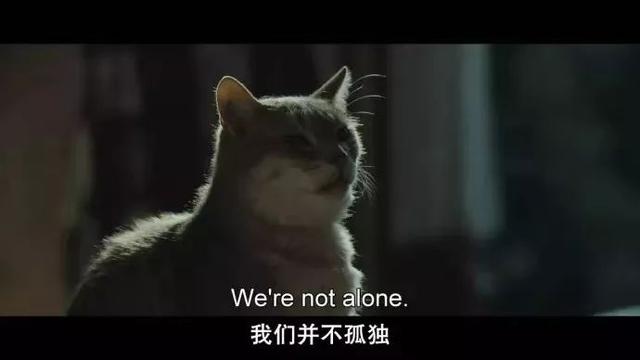 谢谢侬歌词什么意思，为什么是谢谢侬