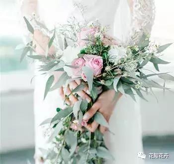  鲜花贺卡浪漫语，情侣送贺卡文案短句（关于郁金香的绝美文案）