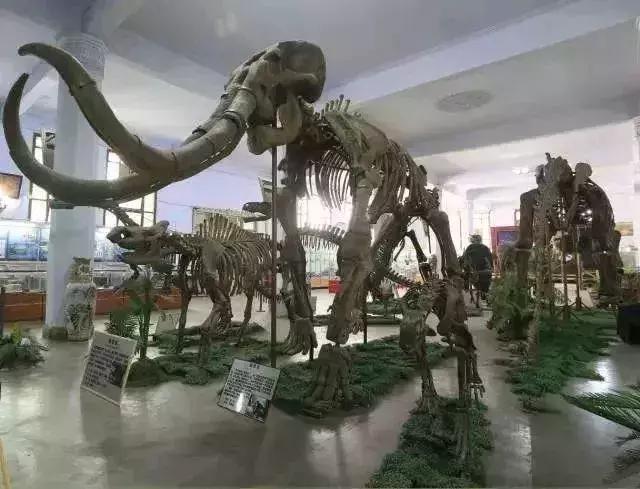 最被低估的地质院校之一，成都地质学院最高排名