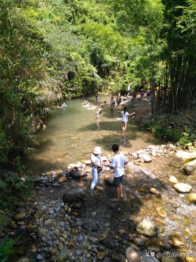 广东紫云谷旅游，肇庆这个景区恢复开放