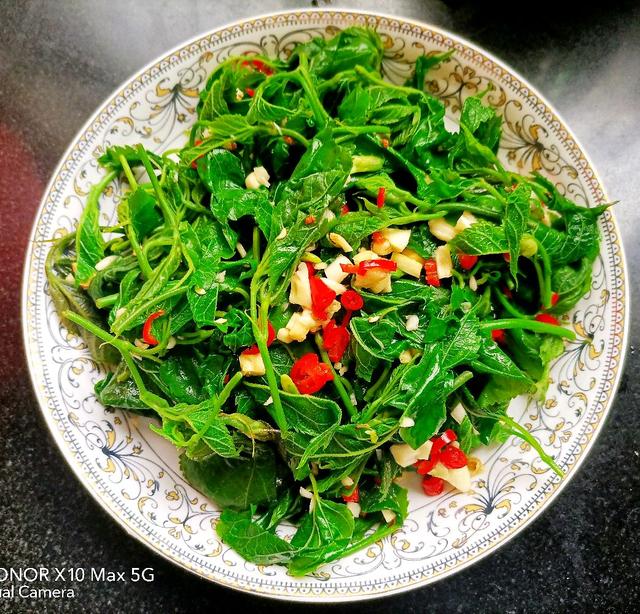 蚕宝宝除了吃桑叶还喜欢吃什么，蚕宝宝的一日三餐