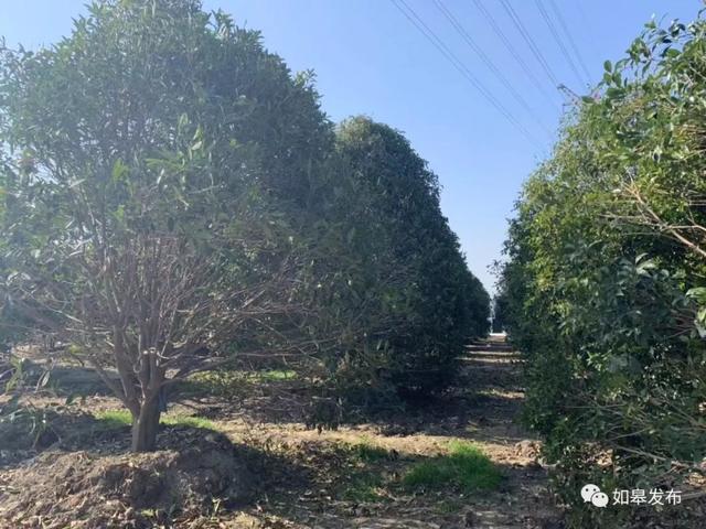 圣迹苍岩田园风光，邂逅最美下驾原