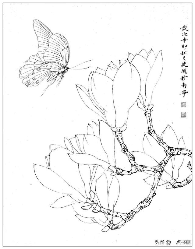 工笔荷花白描，高清工笔荷花白描 110幅