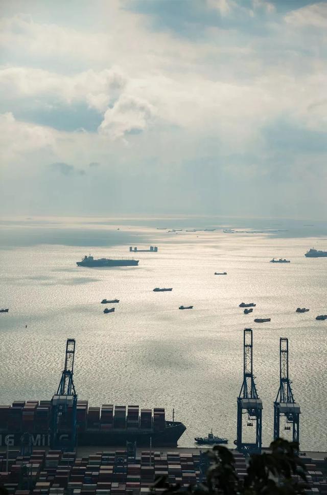 深圳游玩攻略必去的地方免费，7个遛娃好去处全免费