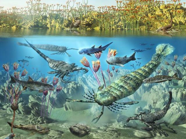 第六次生物大灭绝，地球正进入第六次生物大灭绝（5次生物大灭绝地球经历了什么）