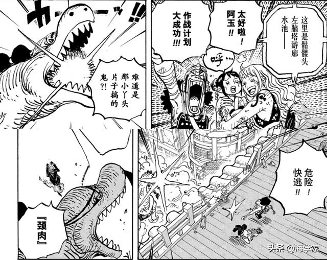 海贼王1036话最新情报，King轻易败北并且退场