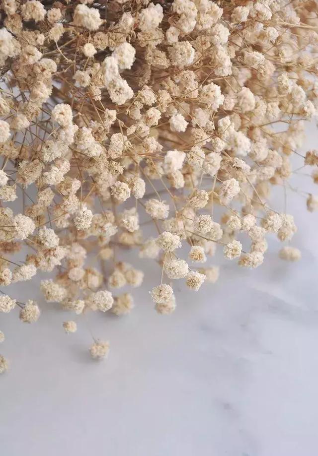 鲜花怎么做成干花，怎么把送的玫瑰花做成干花