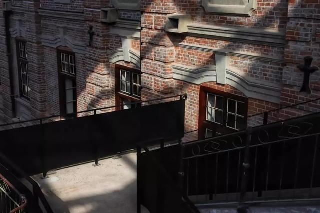 武汉大学的樱花，武汉大学赏樱花去哪里（报！武汉大学早樱开了）