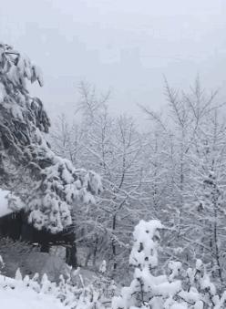 严重雪灾是哪一年，还记得10年前那场百年难遇的大雪灾吗