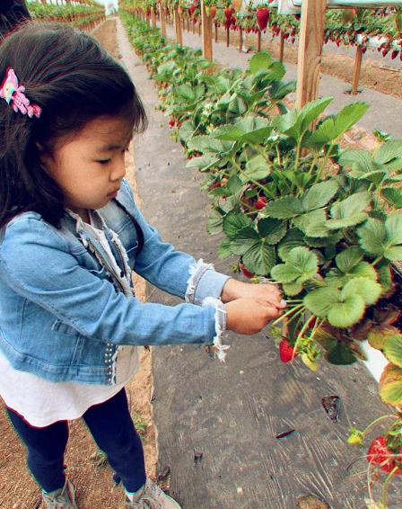 窦靖童同款西装裤，窦靖童登《VOGUE+》八月封面