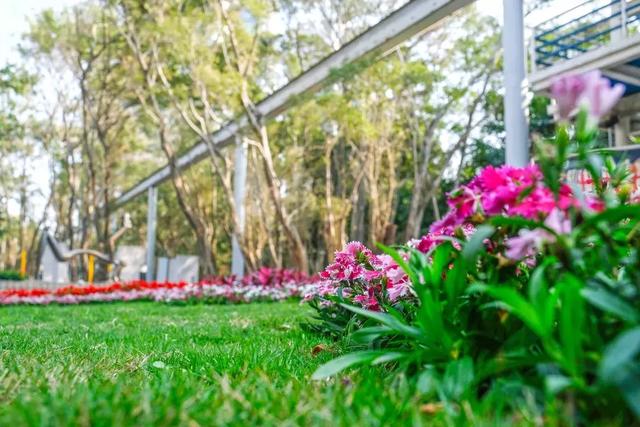 深圳世界之窗好玩吗，深圳世界之窗让你一天游遍全世界