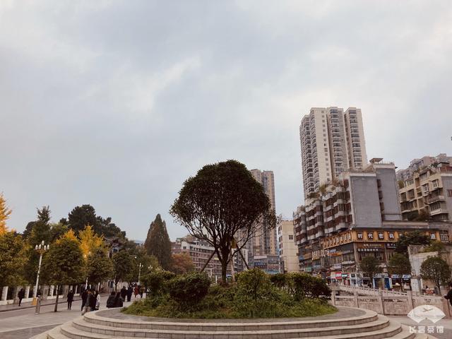 庞巴迪CRJ-900客机，大佬都爱的私人飞机